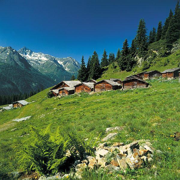 Alp Chalet Appartement Kappl  Dış mekan fotoğraf